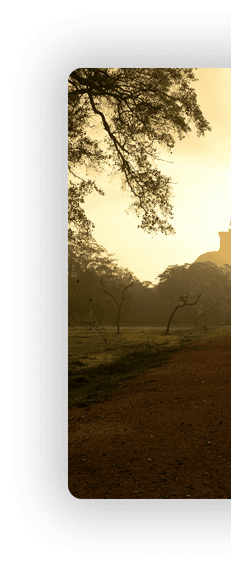 Sri Lanka view