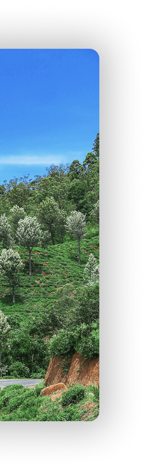 Sri Lanka landscape